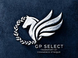 Portfolio agence GP select